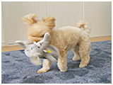 ピース きょうのわんこ 写真3