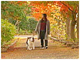 風香 きょうのわんこ 写真3