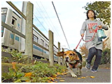 土筆 きょうのわんこ 写真4