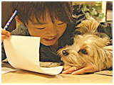 りん きょうのわんこ 写真4