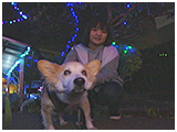 ハッピー きょうのわんこ 写真5