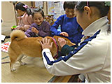 華 きょうのわんこ 写真3