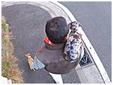 マーブル きょうのわんこ 写真5