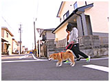 小太郎 きょうのわんこ 写真3