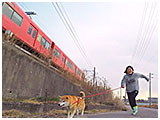 小太郎 きょうのわんこ 写真4