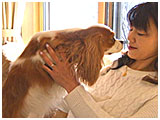 モカ きょうのわんこ 写真5