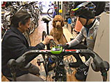 トレイ きょうのわんこ 写真4