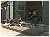 パルム きょうのわんこ 写真4