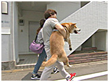 ゴン きょうのわんこ 写真5