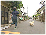 ゴン太 きょうのわんこ 写真3