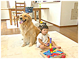 ころ きょうのわんこ 写真2