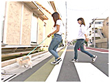 ネル きょうのわんこ 写真3