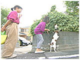 エイト きょうのわんこ 写真4