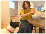 京（けい） きょうのわんこ 写真4