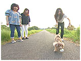 びび きょうのわんこ 写真4