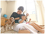 ハナ きょうのわんこ 写真4