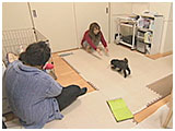 リック きょうのわんこ 写真5
