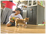 さくら きょうのわんこ 写真3