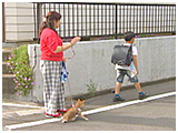 さくら きょうのわんこ 写真5