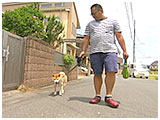 福 きょうのわんこ 写真2