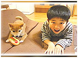 福 きょうのわんこ 写真3