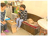 メープル きょうのわんこ 写真5