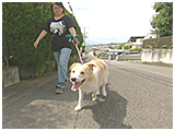 キッシュ きょうのわんこ 写真2