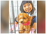 メナ きょうのわんこ 写真3