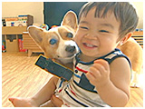 こはる きょうのわんこ 写真4