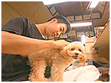 マキアート きょうのわんこ 写真5