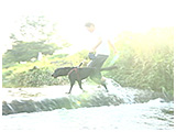 Laugh(ラフ) きょうのわんこ 写真4