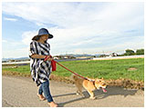とら きょうのわんこ 写真4