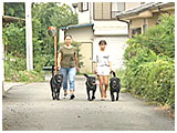 都希（つき） きょうのわんこ 写真2