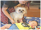 ポン太 きょうのわんこ 写真2