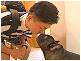 ぷうすけ きょうのわんこ 写真4