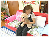 もみじ きょうのわんこ 写真2