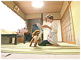 蘭丸 きょうのわんこ 写真5