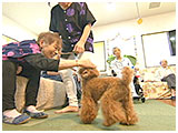リン きょうのわんこ 写真4