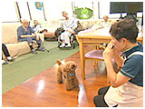 リン きょうのわんこ 写真5
