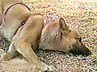 2005N 傤̂񂱑 ʐ^1