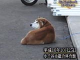 コロ