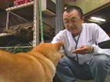 チャチャ 写真7