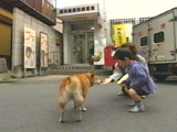 チャチャ 写真8