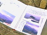 ビッキー 写真4