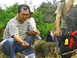 ビッキー 写真7