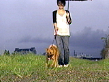 2005年 きょうのわんこ大賞 写真2