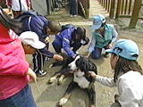 ピース 写真7