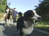 ピース 写真11