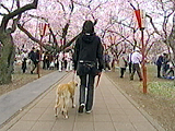  ݂邭 ʐ^3