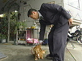 看板犬物語 ベリー 写真4